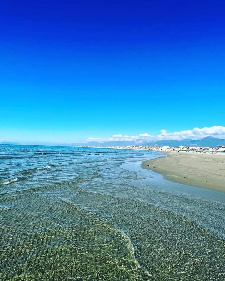 Hotel Pardini Viareggio Eksteriør billede